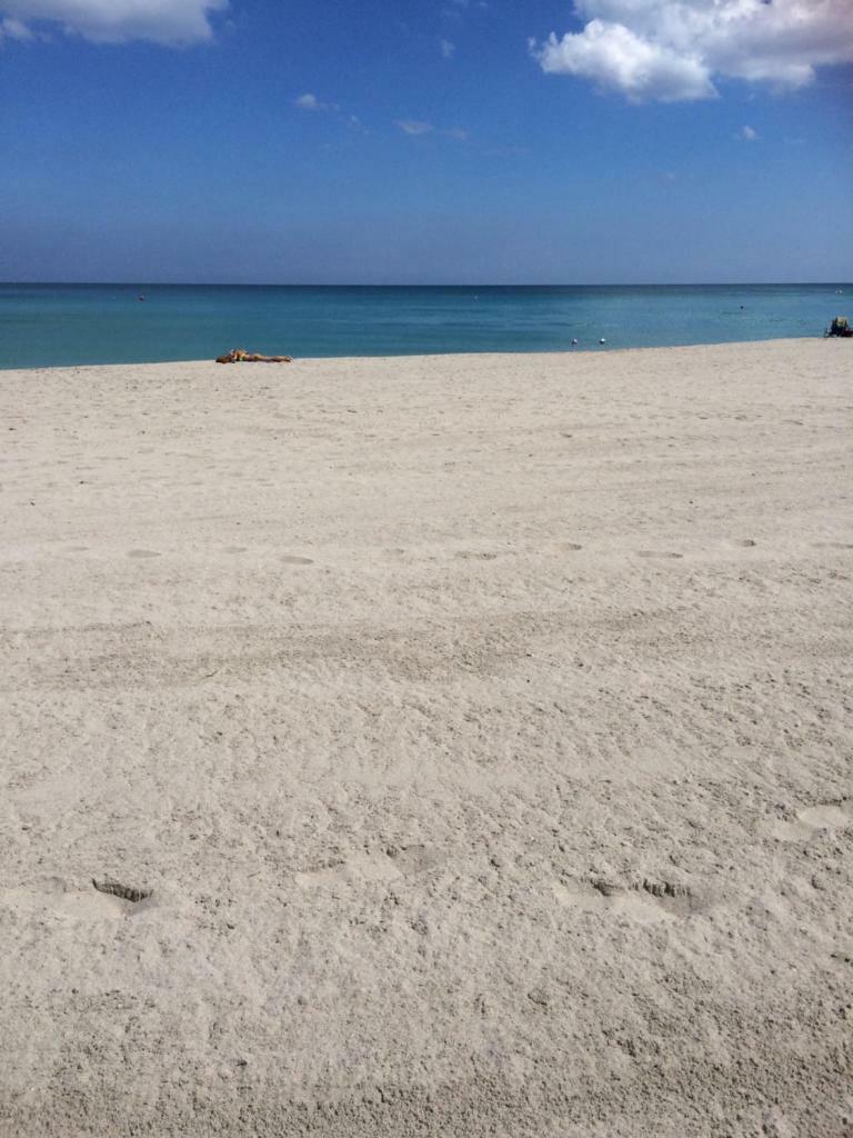 Hollywood Apartment By The Sea المظهر الخارجي الصورة